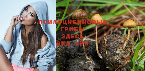 дживик Дмитров