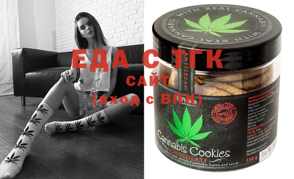 индика Елизово