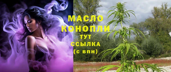 индика Елизово